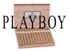 Playboy Churchill Natural